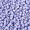 FGB Baking Paint Glass Seed Beads SEED-Q040-09A-15-3