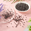 100G Transparent Inside Colours Glass Seed Beads SEED-TA0001-43-6