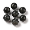 Natural Kambaba Jasper No Hole Sphere Beads G-K353-04D-42-1