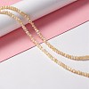 Natural Trochid Shell/Trochus Shell Beads Strands SSHEL-O001-24B-01-4