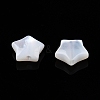 Natural White Shell Beads SSHEL-N032-54A-3