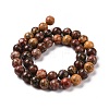 Natural Red Leopard Skin Jasper Beads Strands GSR066-2