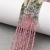 Gradient Color Natural Multicolor Tourmaline Beads Strands G-D110-A02-09-2