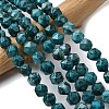 Natural Map Stone Beads Strands G-Z119-A23-03-1