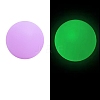 Luminous Food Grade Silicone Beads PW-WG61784-07-1