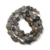 Natural Labradorite Beads Strands G-Q060-D02-3