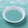 MIYUKI Round Rocailles Beads X-SEED-G007-RR0536-2