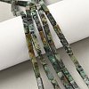 Natural African Turquoise(Jasper) Beads Strands G-G837-02-5