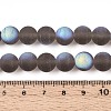 Frosted Transparent Glass Beads Strands GLAA-T032-T10mm-MBB02-4