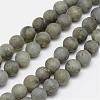 Natural Labradorite Frosted Bead Strands G-O155-04B-8mm-1