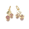 Brass Micro Pave Cubic Zirconia Charms ZIRC-I038-13G-2