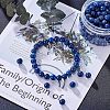 Natural Lapis Lazuli Beads G-NB0001-03-2