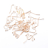 Iron Earring Hooks IFIN-T001-05KC-1
