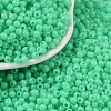 Opaque Acrylic Beads SACR-A007-01B-23-1