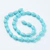 Shell Pearl Beads Strands BSHE-L035-H01-1