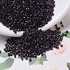 MIYUKI Delica Beads SEED-X0054-DB0004-1