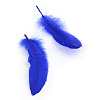 Goose Feather Costume Accessories X-FIND-Q044-07-2