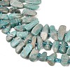 Natural Amazonite Beads Strands X-G-P619-A04-01-4