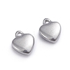 Non-Tarnish 304 Stainless Steel Charms STAS-G236-01P-B-2