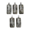 Natural Labradorite Pendants GG-CBAA0EE-01P-12-1