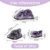 SUPERFINDINGS 3Pcs 3 Styles Natural Drusy Amethyst Display Decorations AJEW-FH0004-48-2