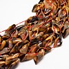 Natural Tiger Eye Bead Strands G-E254-07-28x15mm-1