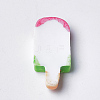 Resin Cabochons Y-CRES-Q206-13-3