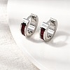 304 Stainless Steel Hoop Earrings EJEW-L302-02P-02-1