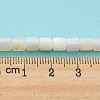 Natural Freshwater Shell Beads Strands SHEL-F008-04A-5