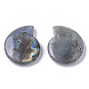 Natural Labradorite Beads G-R464-008B-2