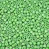 Opaque Baking Paint Glass Seed Beads SEED-T008-02Q-3