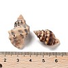 203Pcs Spiral Shell Pendants SSHEL-XCP0001-04-3