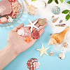 14 Styles Natural Shell Ornaments AJEW-PH0011-89-3