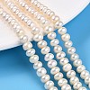 Natural Cultured Freshwater Pearl Beads Strands PEAR-N015-06A-01-2