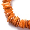 Natural Freshwater Shell Beads Strands SHEL-C001-10-5