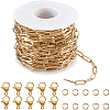 10M Ion Plating(IP) 304 Stainless Steel Paperclip Chains wih 50Pcs Open Jump Rings with 20Pcs  Lobster Claw Clasps FIND-SC0012-55-1