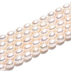 Natural Cultured Freshwater Pearl Beads Strands PEAR-N024-05-4AB-2