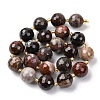 Natural Petrified Wood Beads Strands G-C249-A24-16MM-5