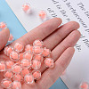 Transparent Acrylic Beads LS-TACR-S152-07A-SS2109-5