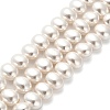 Electroplated Shell Pearl Beads Strands BSHE-C009-03A-1