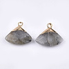 Electroplate Natural Labradorite Pendants X-G-T112-04A-2