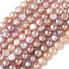 Natural Cultured Freshwater Pearl Beads Strands PEAR-C004-21D-2