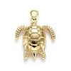 Alloy Pendants X-TIBEP-A040-032G-NR-3