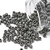 TOHO 6/0 Round Beads SEED-XTR06-0053D-1