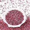 Baking Paint Glass Seed Beads SEED-Q041-03A-08-2