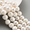 Natural Cultured Freshwater Pearl Beads Strands PEAR-C003-21C-2