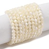 Natural Trochus Shell Beads Strands SHEL-P017-05-1