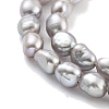 Natural Keshi Pearl Cultured Freshwater Pearl Beads Strands PEAR-P062-25A-4