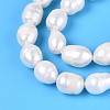 Natural Cultured Freshwater Pearl Beads Strands PEAR-T006-19D-4