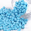 (Repacking Service Available) Glass Seed Beads SEED-C019-4mm-43-1
